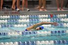 Swimming & Diving vs Babson  Swimming & Diving vs Babson College. - Photo by Keith Nordstrom : Wheaton, Swimming